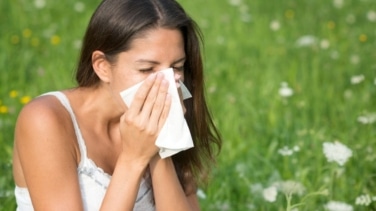 ¿Cuándo está previsto que termine la época de alergia en 2024?