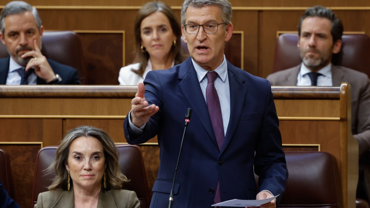 El líder del PP, Alberto Núñez Feijóo, interviene desde su escaño durante el pleno del Congreso de los Diputados celebrado este miércoles.