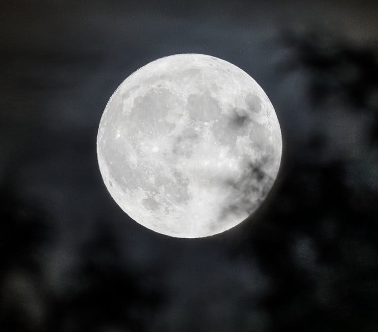 Luna llena de mayo 2024: ¿Por qué se llama luna de las flores? 