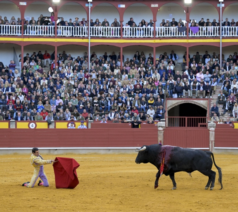 El PP reclamará en el Senado la restitución del Premio Nacional de Tauromaquia