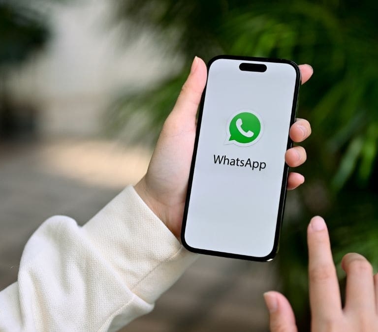 Llega la nueva actualización de WhatsApp: la explicación del color verde en los mensajes