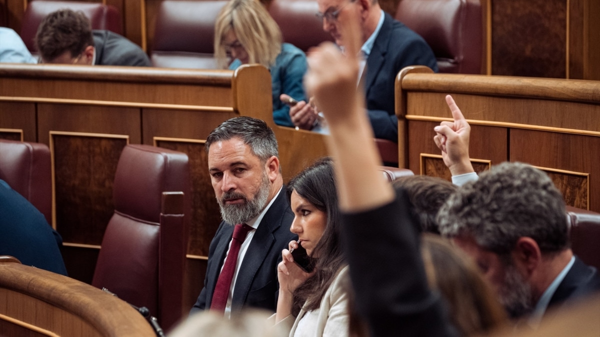 El presidente de Vox, Santiago Abascal, observa a la bancada popular durante una votación parlamentaria reciente en el Congreso