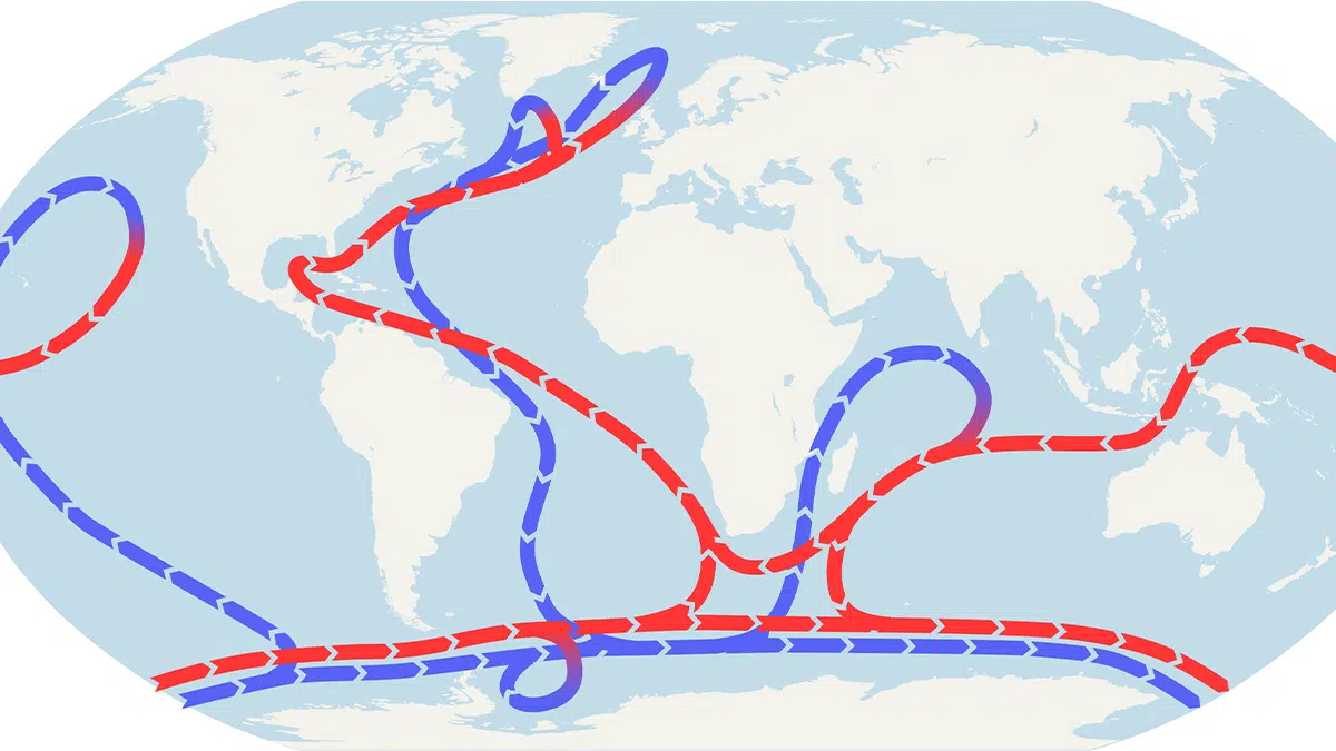 antartida - Clima, cambio climático antropogénico... capitalista. - Página 42 Amoc-portada.png