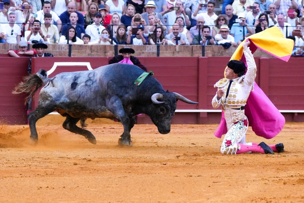El torero Manuel Escribano, durante la faena en día de hoy en la Maestranza en Sevilla.