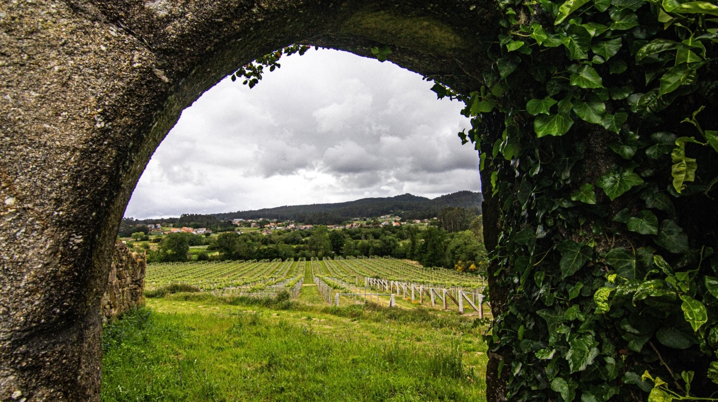 Finca Lobeira, un embargo bancario para salvar el futuro del vino de Rías Baixas