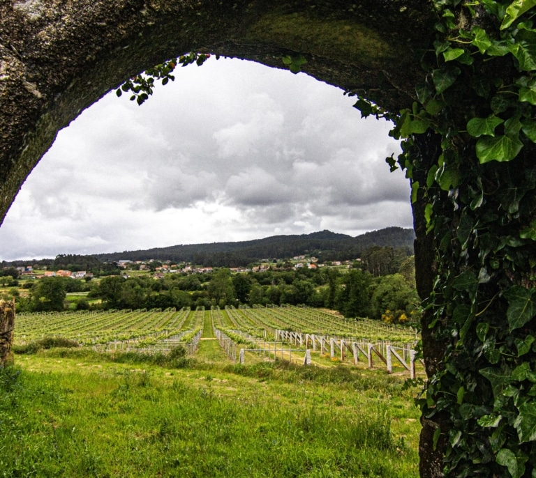 Finca Lobeira, un embargo bancario para salvar el futuro del vino de Rías Baixas
