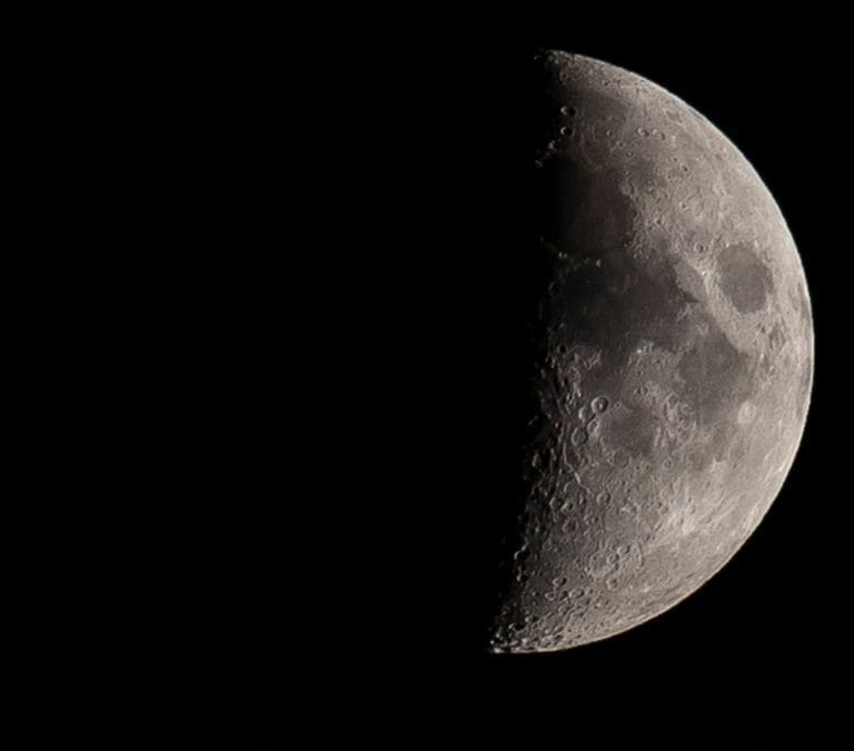 La ¿solución? para proteger a las especies amenazadas: crear un almacén de muestras biológicas en la Luna