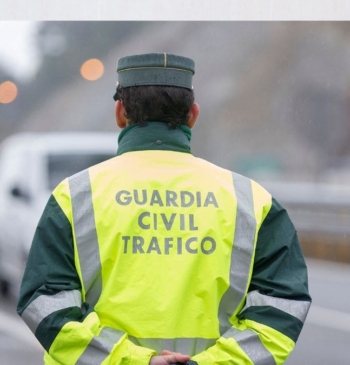 Herido un guardia civil de Tráfico en Pontevedra al caerle un árbol [...]