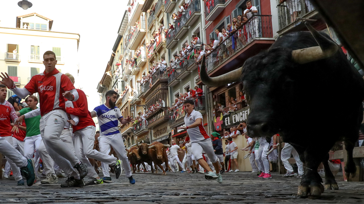 Los toros de Domingo Hernández Martín debutan con el encierro más veloz de los Sanfermines 2024