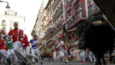 Los toros de Domingo Hernández Martín debutan con el encierro más veloz de los Sanfermines 2024