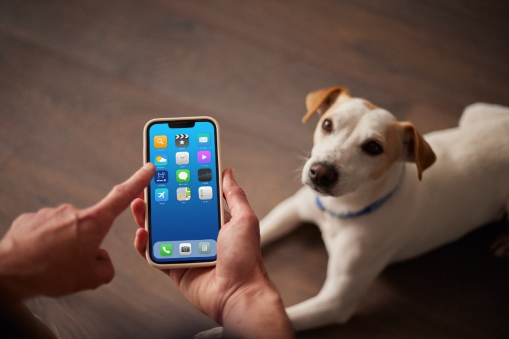 app móvil seguro para perros Allianz Mascotas