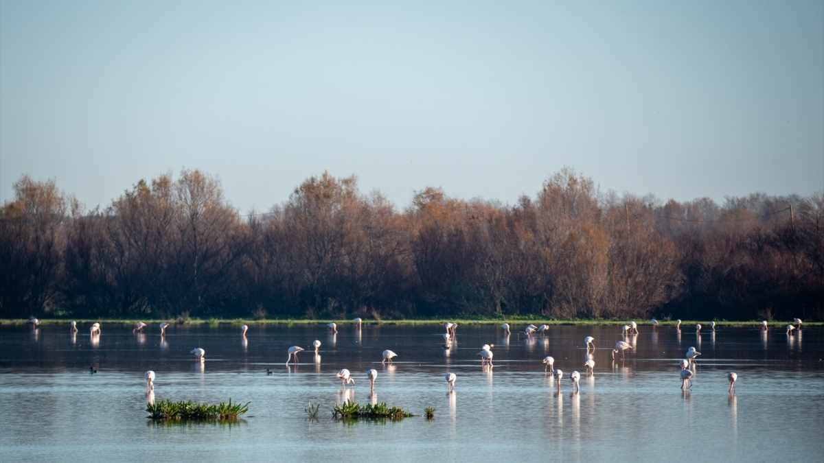 Imagen de archivo del Parque Natural de Doñana