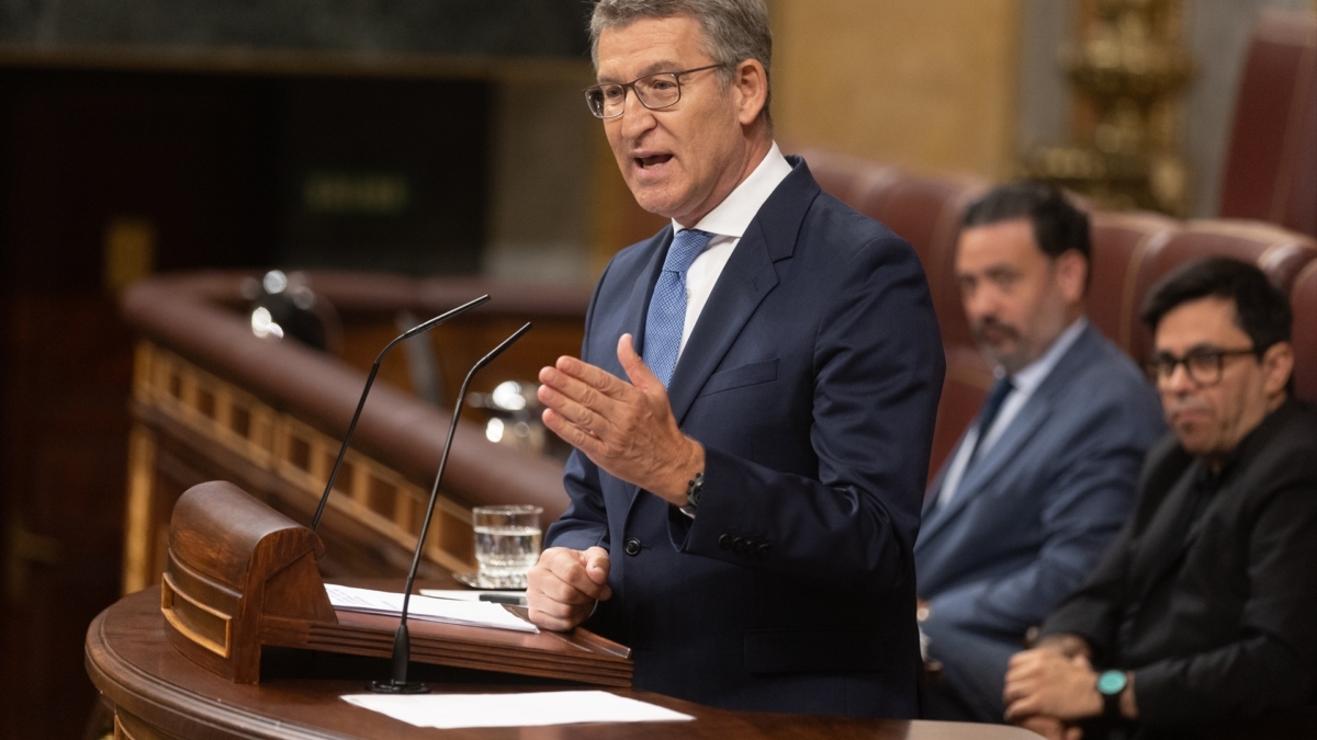 Alberto Núñez-Feijóo, en el Congreso.