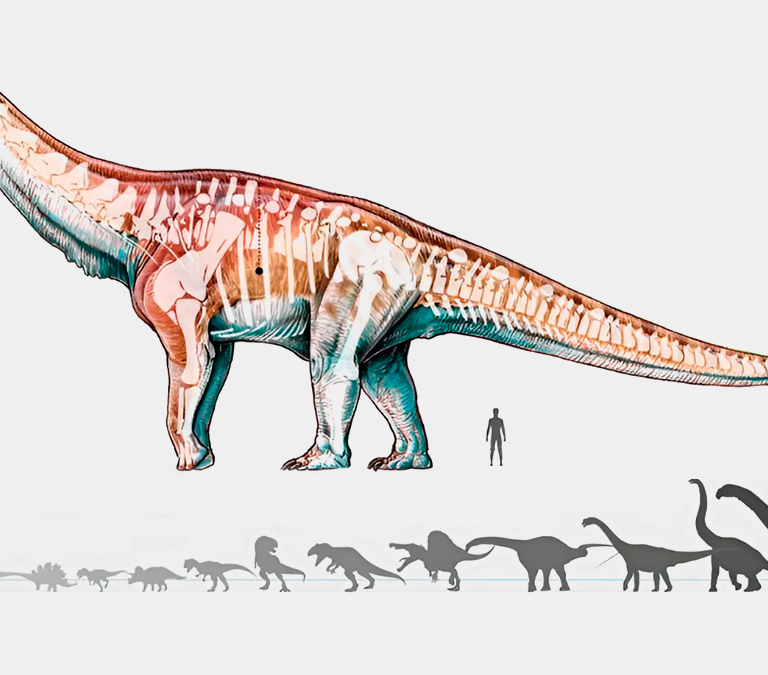 El dinosaurio más grande del mundo: pesaba como 14 elefantes y comía 150 kilos al día, pero tenía un depredador