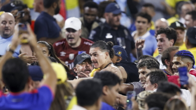 Pelea entre los futbolistas de Uruguay y los aficionados de Colombia en la Copa América