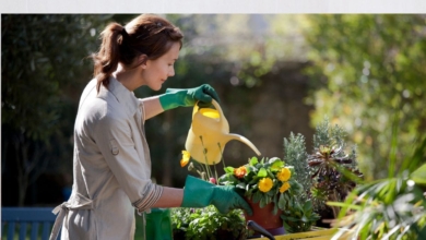 Cuál es la mejor hora para regar las plantas en verano