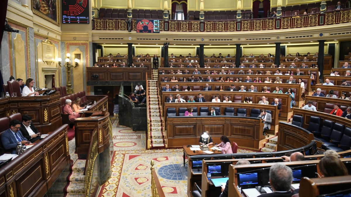 Vista general del hemiciclo, durante una sesión plenaria extraordinaria, en el Congreso de los Diputados, a 23 de julio de 2024, en Madrid (España).
