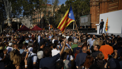 La movilización de 3500 personas por Puigdemont iguala las protestas del PACMA por la muerte por la perra Sota o las obras del metro