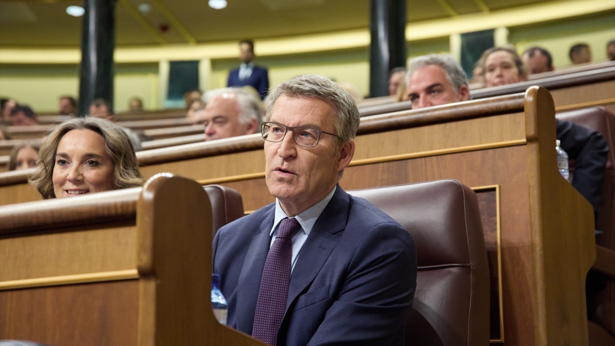 El presidente del PP, Alberto Núñez Feijóo, en el Congreso de los Diputados