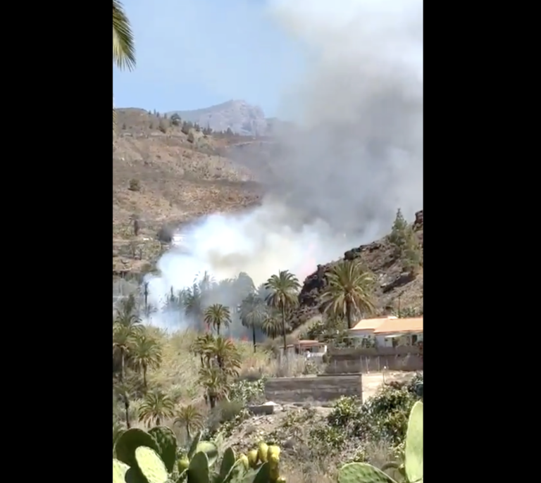 Declarado nivel 1 de emergencia en Gran Canaria tras un incendio forestal en el sur de la isla