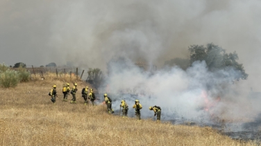 Un incendio a las afueras de Madrid obliga a desalojar una urbanización en Colmenar Viejo