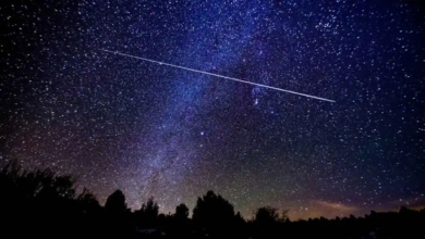 LLuvia de Perseidas: este fin de semana y el martes llegará su pico de actividad