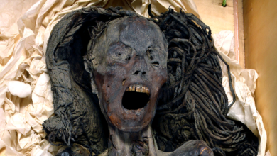 La momia de “la mujer que grita”: el alarido que se llevó a la tumba hace 3.500 años desvela sus secretos