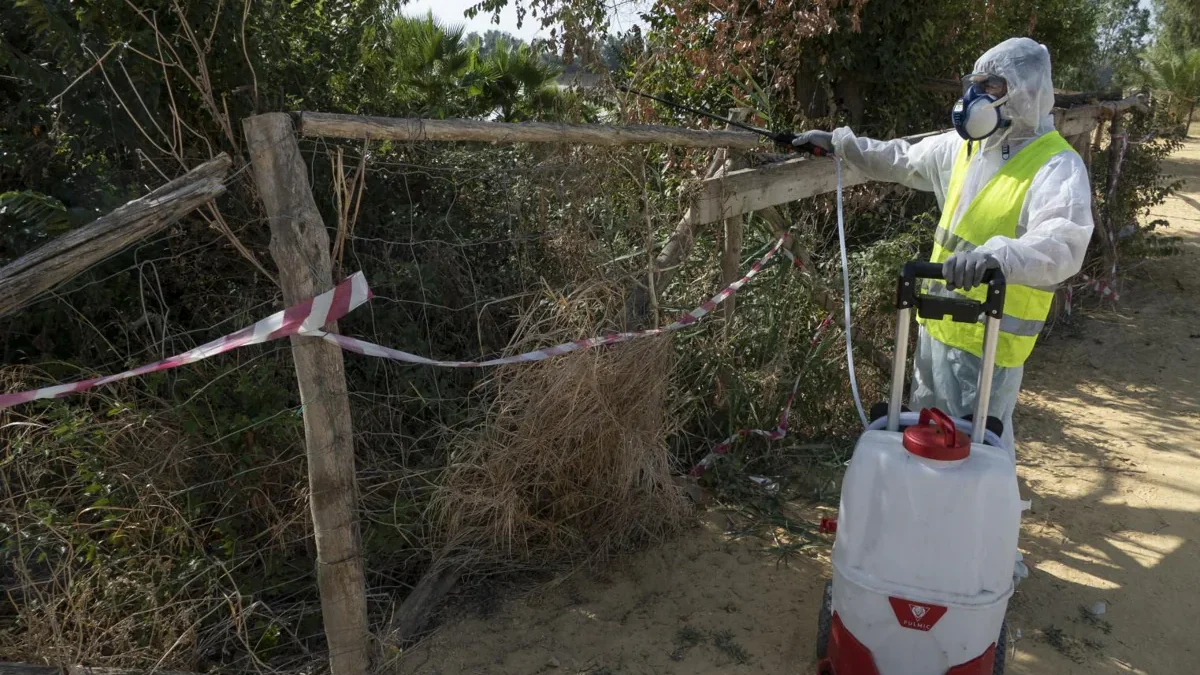 Tercera víctima del virus del Nilo: muere una mujer a los 87 años en Sevilla