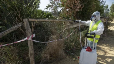 Tercera víctima del virus del Nilo: muere una mujer a los 87 años en Sevilla