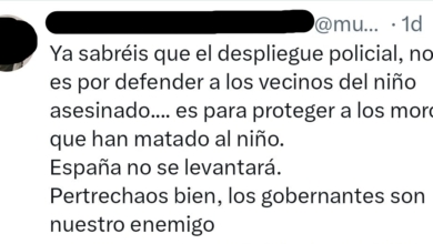 ¿Hay que prohibir el acceso a internet a quienes siembran el odio en las redes?