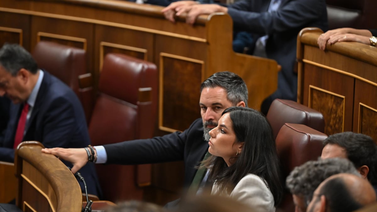 El presidente de Vox y diputado, Santiago Abascal, junto a la portavoz parlamentaria del partido, Pepa Millán, en el Congreso