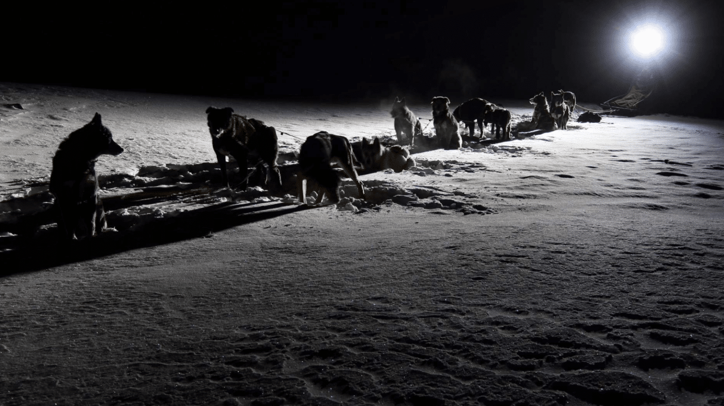 Trineo de perros durante la noche polar