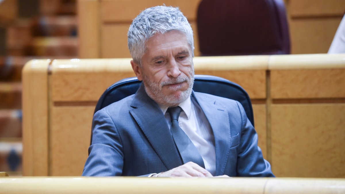 El ministro del Interior, Fernando Grande-Marlaska, durante una sesión de control al Gobierno, en el Senado.