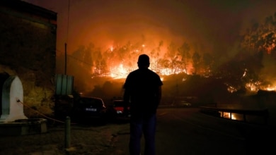 Alerta máxima en Portugal: decenas de incendios arrasan el norte y el centro del país