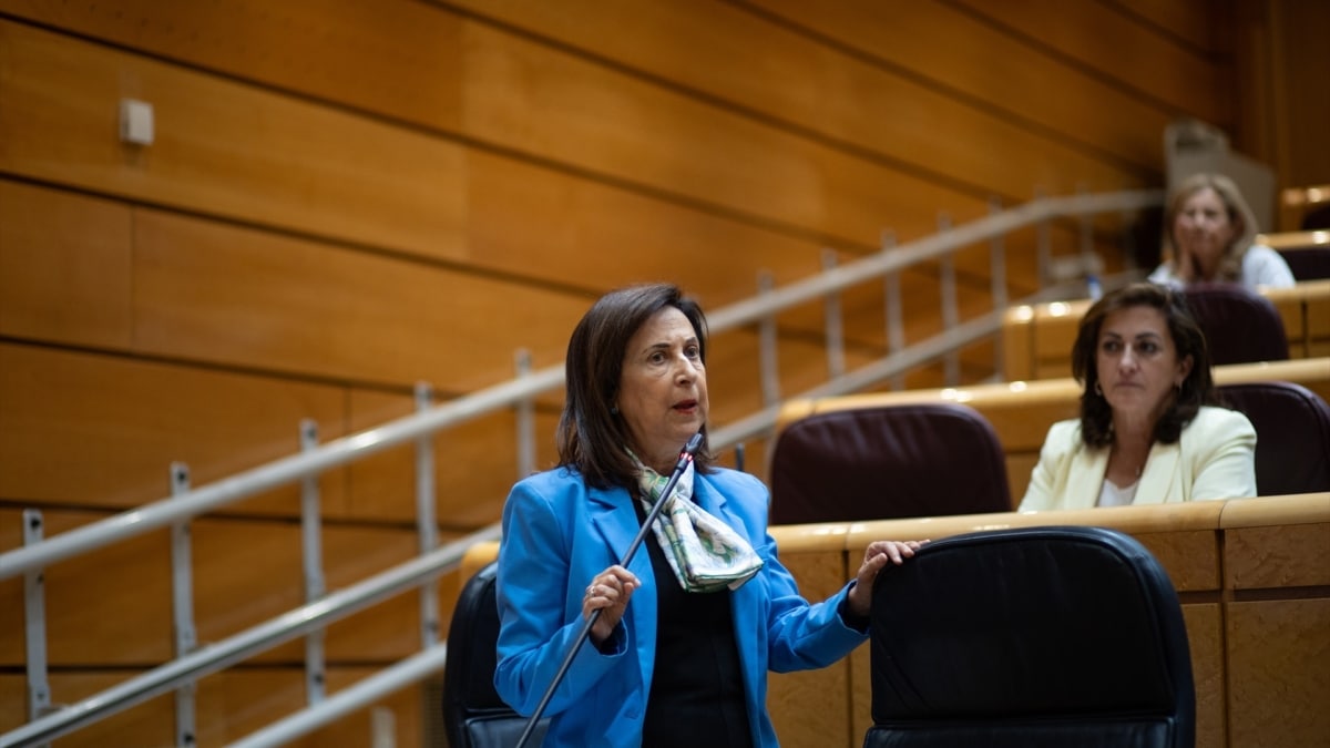 La ministra de Defensa, Margarita Robles, durante una sesión de control de Gobierno en el Senado.