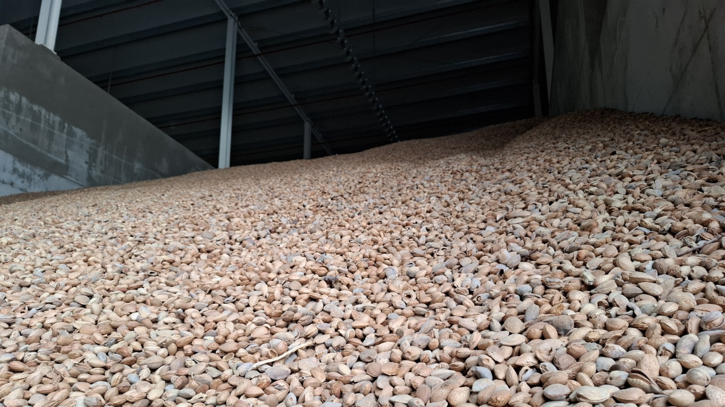 Una de las montañas de almendra sin pelar en la planta de Dcoop en Córdoba.