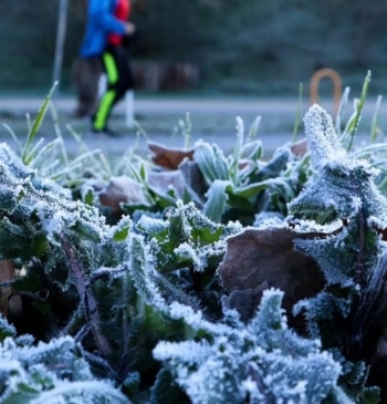 La AEMET advierte de un temporal de invierno sorpresa: azota España con nieve y viento polar /EP