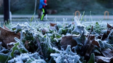 La AEMET advierte de un temporal de invierno sorpresa que azota a España con nieve y viento polar