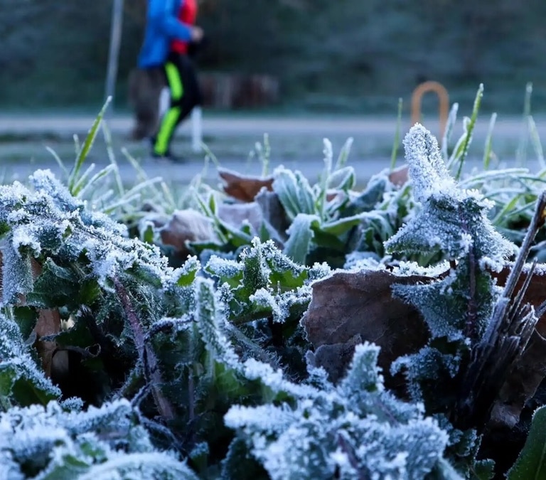 La AEMET advierte de un temporal de invierno sorpresa que azota a España con nieve y viento polar