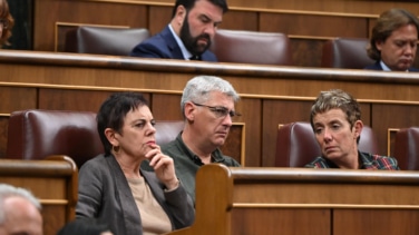 El Congreso inicia la reforma de la 'ley mordaza' con la negativa del PP y Vox: "Dan a Bildu la protección de la Policía"