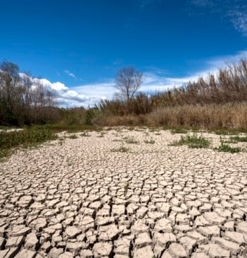 Más pobres, enfermos y vulnerables, así debilitará el cambio climático a España [...]