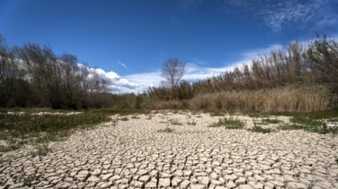 ¿Para qué sirve el Día Mundial del Cambio Climático?