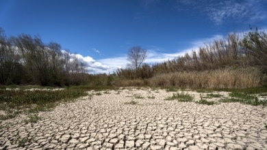 Más pobres, enfermos y vulnerables, así debilitará el cambio climático a España en sólo 25 años