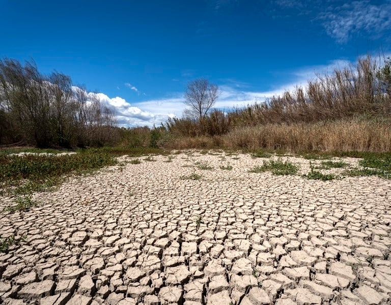 ¿Para qué sirve el Día Mundial del Cambio Climático?