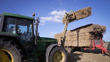 Los productores de cereal preparan movilizaciones: "Nos jugamos la soberanía alimentaria"