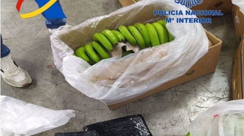 Incautadas en Algeciras 13 toneladas de cocaína, el mayor alijo intervenido en España