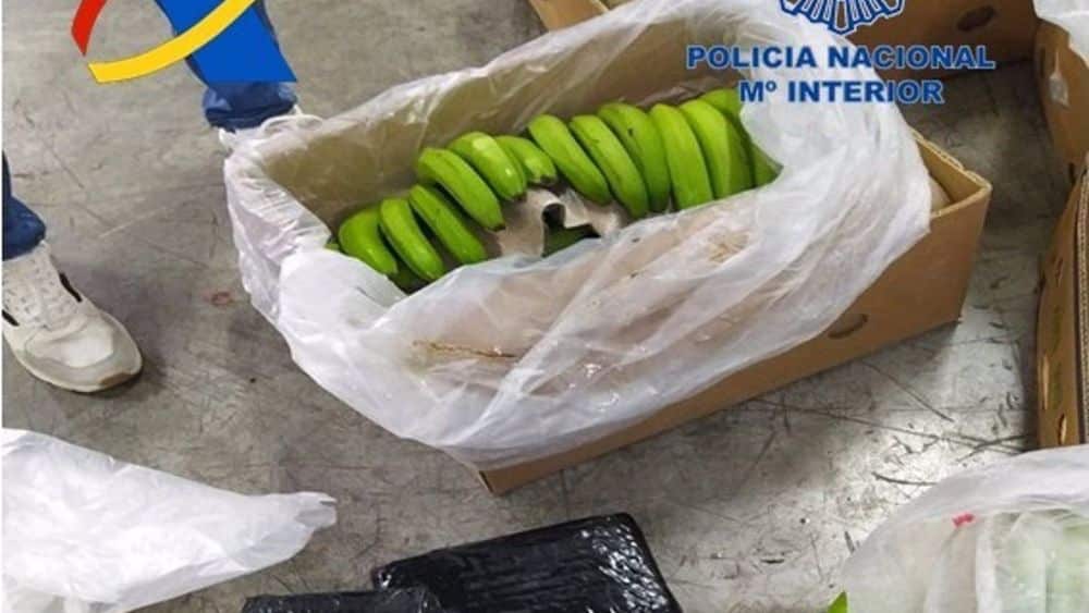 Incautadas en Algeciras 13 toneladas de cocaína, el mayor alijo intervenido en España