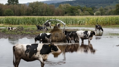 No a la amnesia climática