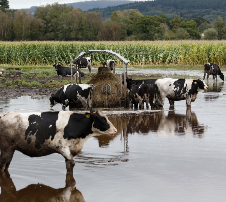 No a la amnesia climática