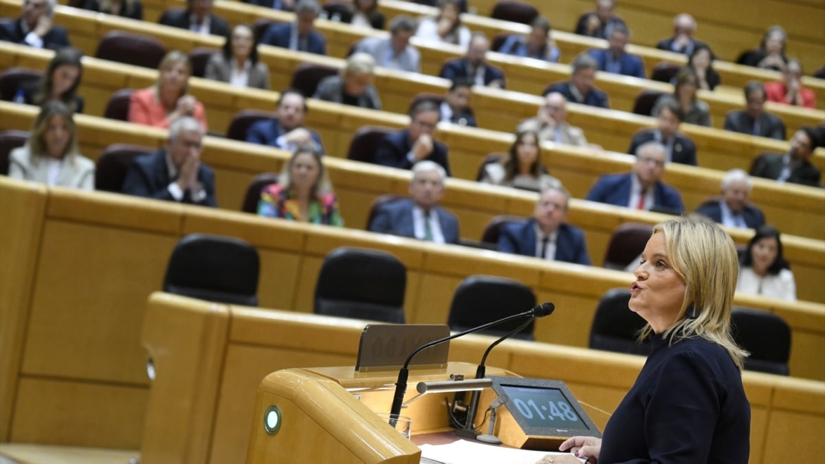 La senadora del PP, Marimar Blanco, interviene durante el pleno extraordinario celebrado hoy en el Senado.